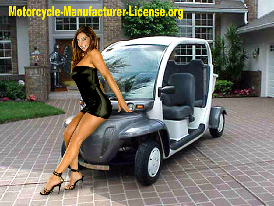 license to manufacturer LSVs